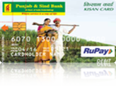 RuPay Classic Debit Card